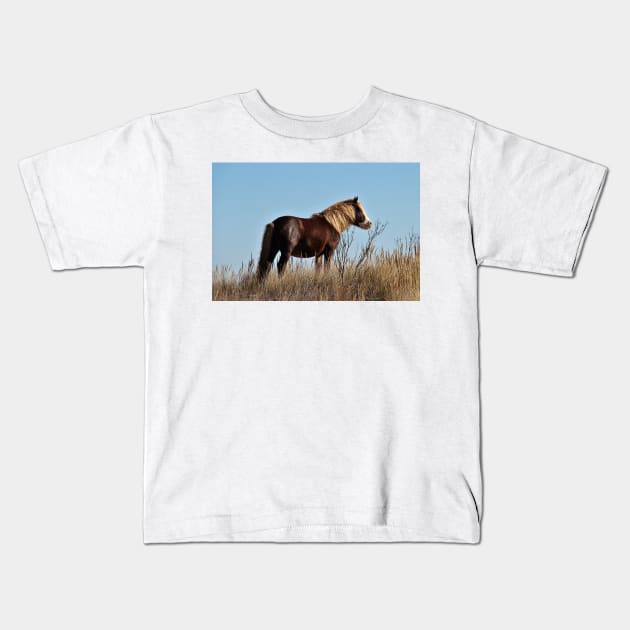 Assateague Beach Ponies Series - 03 Kids T-Shirt by searchlight